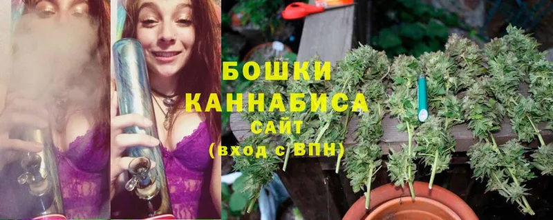 Каннабис OG Kush  Краснокамск 